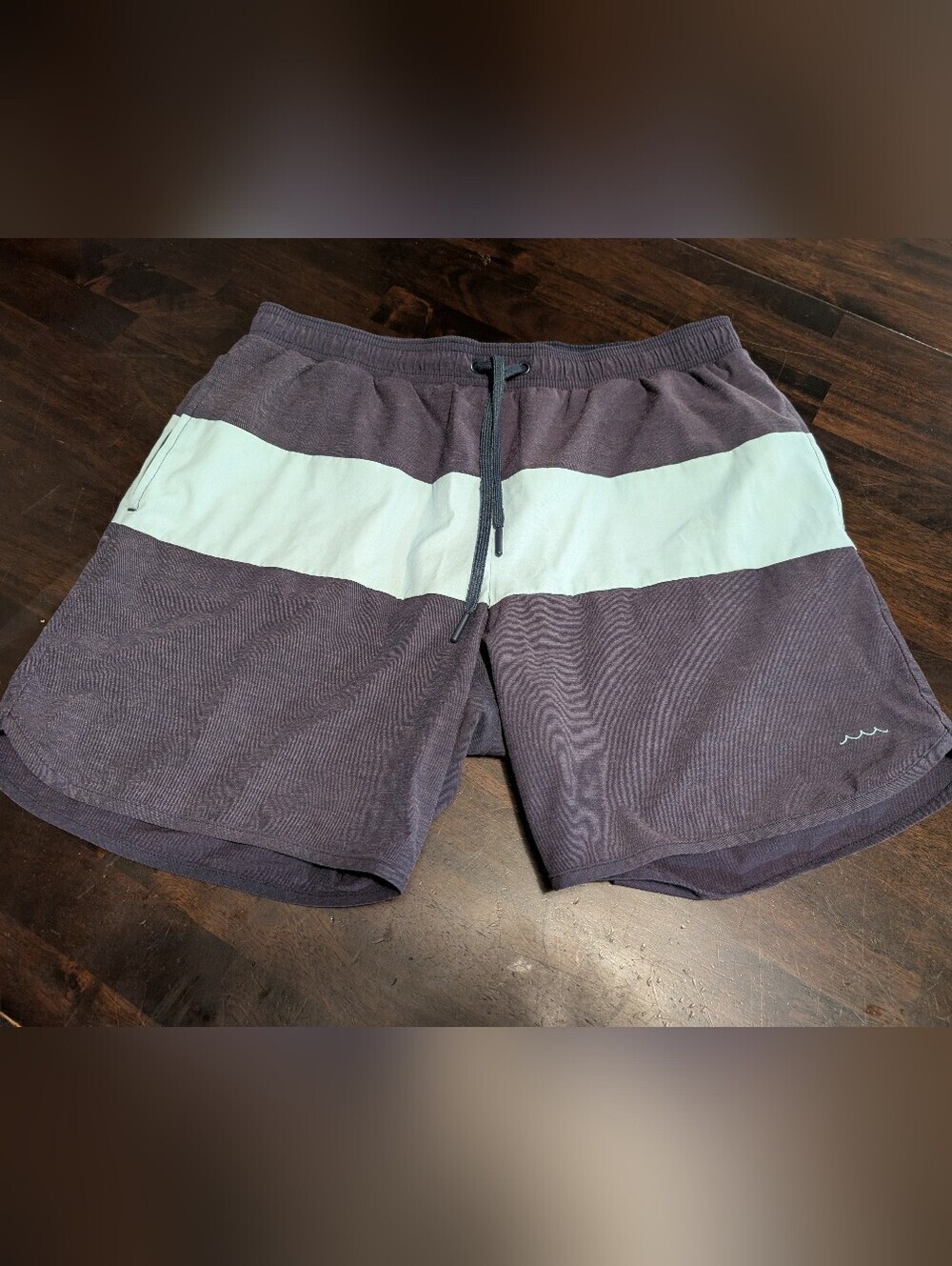 Minnow Swim Shorts, Men's Large, Purple/Mint